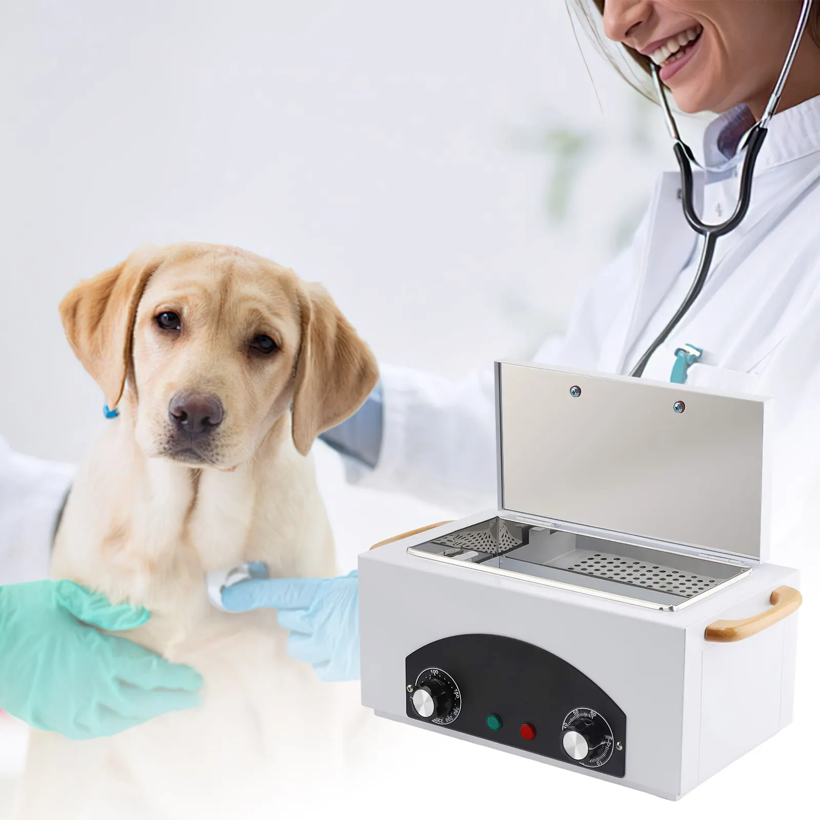 Esterilizador de Calor Seco - Imagen 6