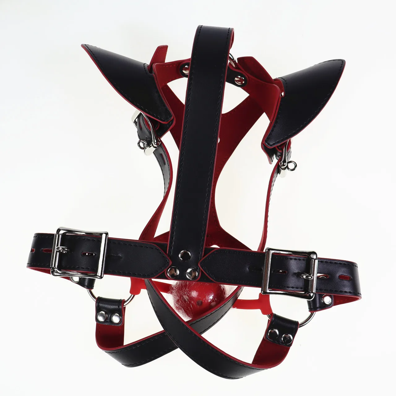 BDSM Puppy - Imagen 5