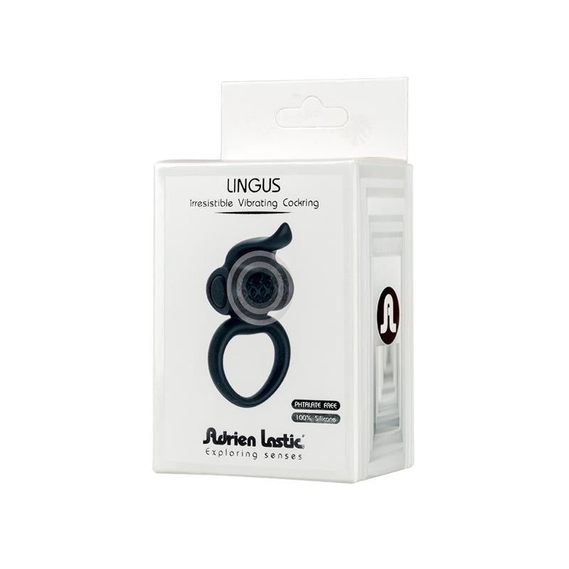 Anillo Vibrador Lingus - Imagen 3