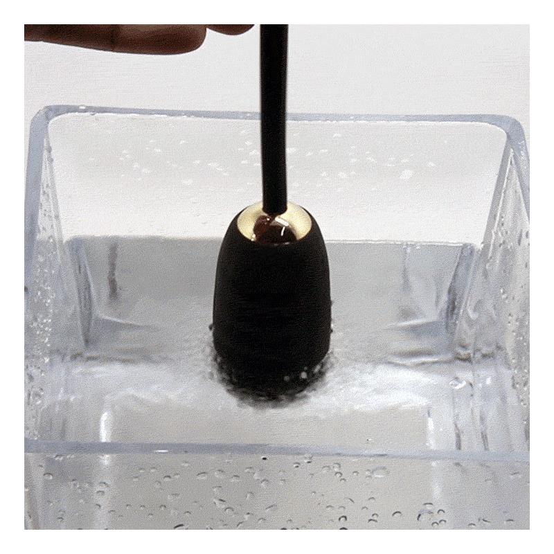 Bola Kegel con Control Remoto Royal Pleasure - Imagen 4