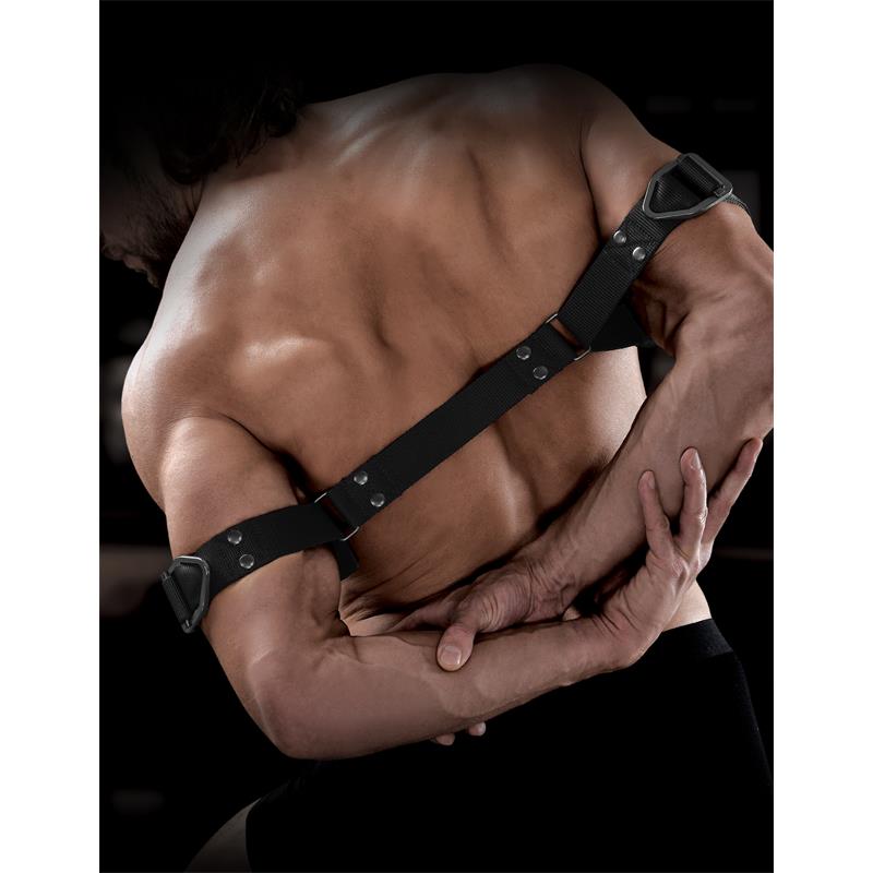 Correas para Bíceps - Imagen 3