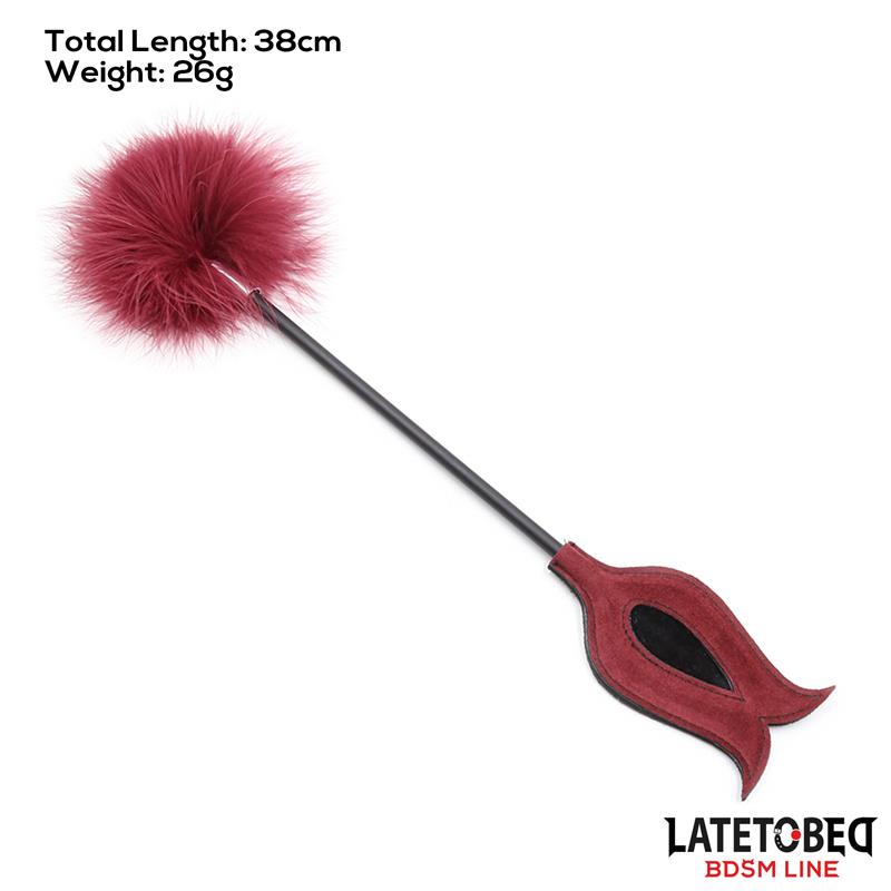 Estimulador de Plumas con Pala - Imagen 3