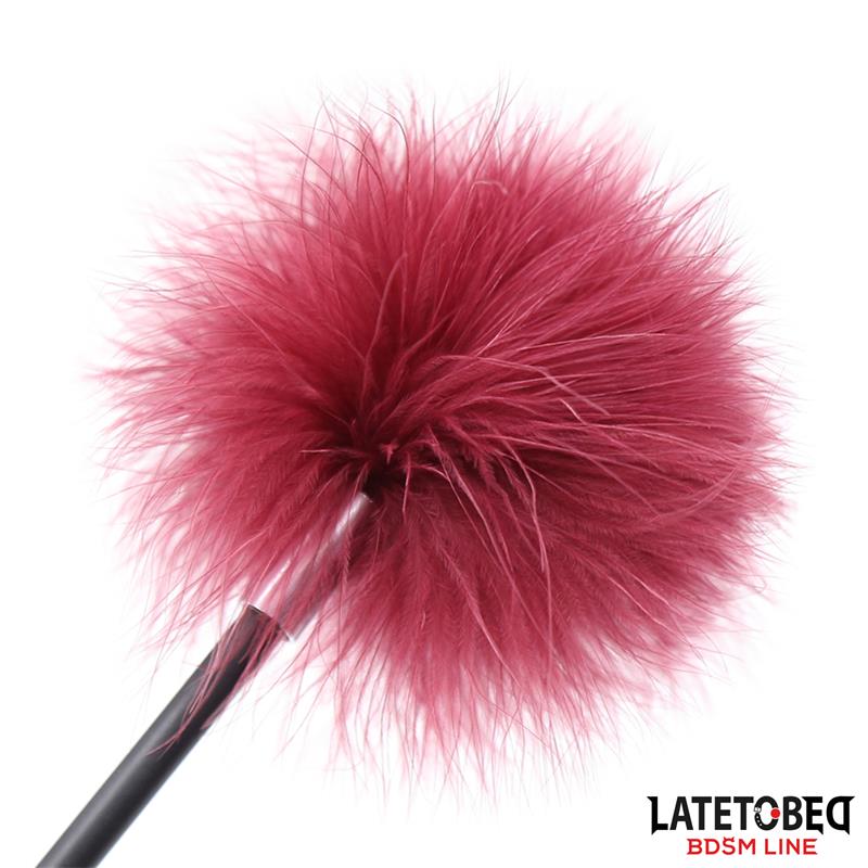 Estimulador de Plumas con Pala - Imagen 4