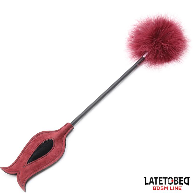 Estimulador de Plumas con Pala - Imagen 5