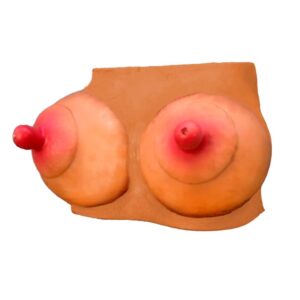 Hucha Forma de Pechos