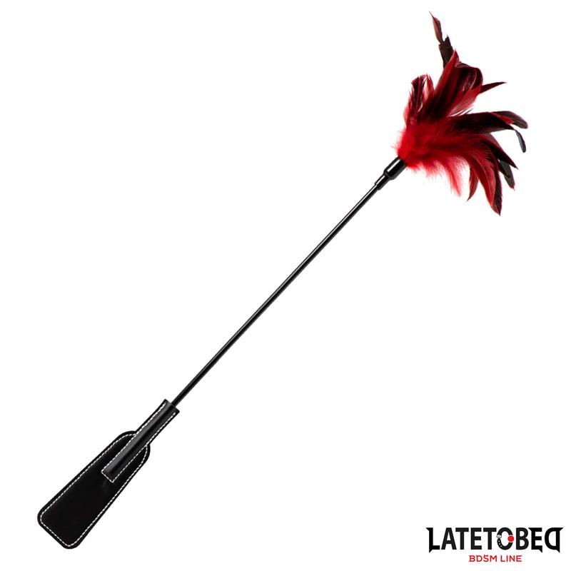 Pala con Plumas 2 en 1 - Imagen 4