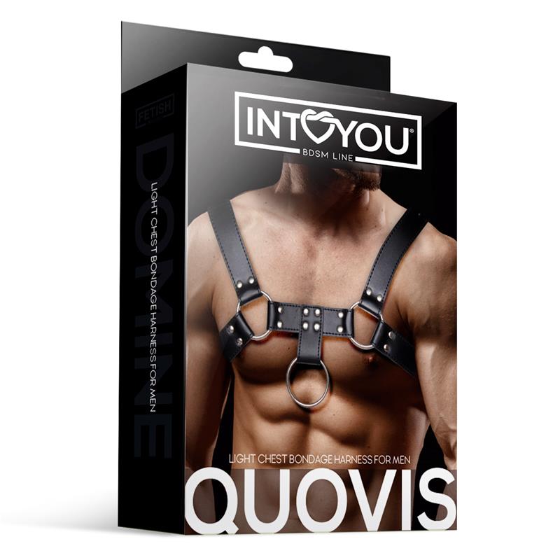 Quovis Arnés Masculino para Bondage Cuero Vegano - Imagen 5