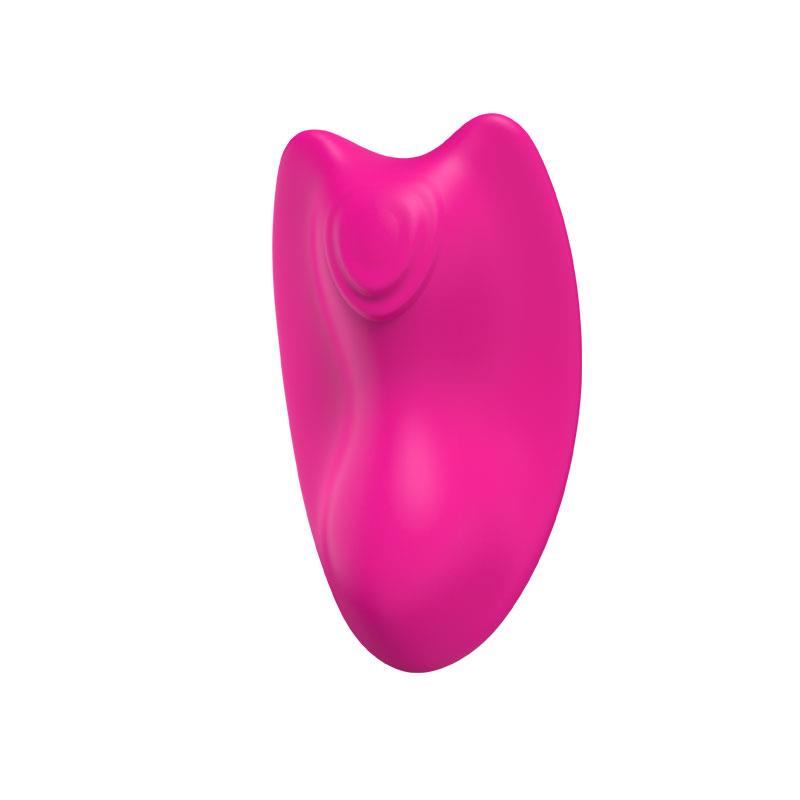 Vibrador de Braguita - Imagen 7