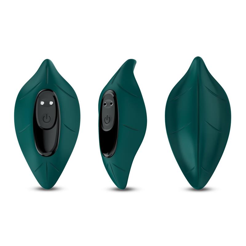 Vibrador de Braguita - Imagen 5